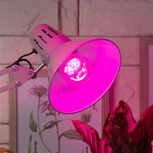 Лампа светодиодная FITO-12W-RB-E27-K 12Вт A60 грушевидная прозрачная 1310К E27 130-270В для растений красн./син. спектр Эра Б0039070