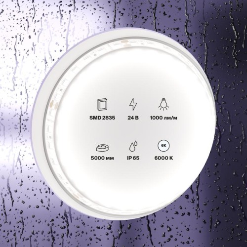 Лента светодиодная 24В 2835 9.6Вт/м 6000К IP65 (уп.5м) Maytoni 10147