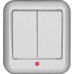 Выключатель 2-кл. ОП Прима 6А IP20 с подсветкой с монтаж. пластиной бел. (опт. упак.) SchE A56-007M-