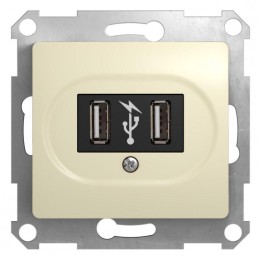 Розетка USB 1-м СП Glossa механизм беж. SchE GSL000232