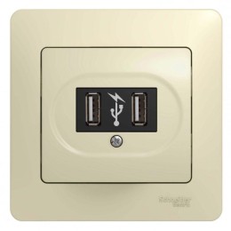 Розетка USB 1-м СП Glossa механизм беж. SchE GSL000232