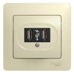 Розетка USB 1-м СП Glossa механизм беж. SchE GSL000232