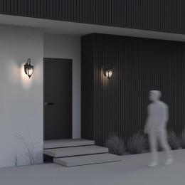 Светильник Fleur 1х60Вт E27 IP44 бра настен. Maytoni O414WL-01BZ