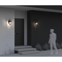 Светильник Fleur 1х60Вт E27 IP44 бра настен. Maytoni O414WL-01BZ