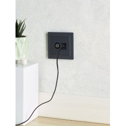 Розетка компьютерная + телевизионная 2-м BRITE РТВ/РК12-БрГ RJ45 кат.5E + TV механизм графит IEK BR-