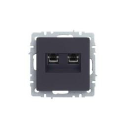 Розетка компьютерная 2-м СП BRITE RJ45 кат.5E РК10-2-БрГ механизм графит IEK BR-K20-1-K53