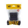 Розетка компьютерная 2-м СП BRITE RJ45 кат.5E РК10-2-БрГ механизм графит IEK BR-K20-1-K53