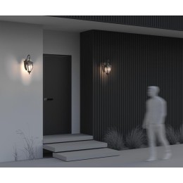 Светильник Fleur 1х60Вт E27 IP44 бра настен. Maytoni O414WL-01GB