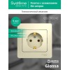 Розетка 1-м СП Glossa 16А IP20 с заземл. в сборе беж. SE GSL000242