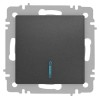 Выключатель 1-кл. СП Accent 6-102-07 10А IP20 250В с подсветкой AL/CU графит Intro Б0063434