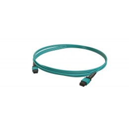 Патч-корд FHD-MC3-503-MPOM12/PS-MPOM12/PS-A-30M-LSZH-AQ волоконно-оптический MPO (папа)-MPO (папа) т
