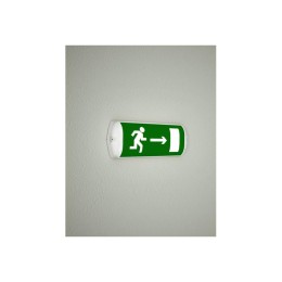 Светильник светодиодный TLM02 OL EM1 3ч накладной Technolux 85753