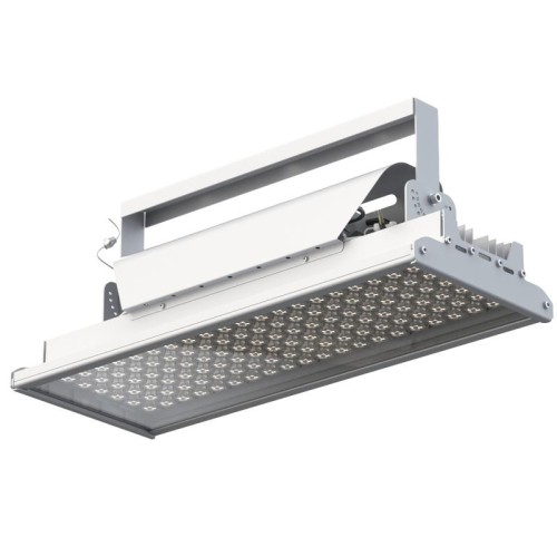 Светильник светодиодный "Эверикс" LED-250-Г60.4-IP66-У1(1/LIRA/840/RAL7035/TG/AC230/D/Х/G1) GALAD 20