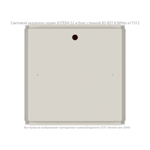 Оповещатель пожарный световой BS-ASTERA-10-F2-24 Белый свет a26859
