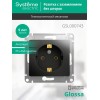 Розетка 1-м СП 1мод. Glossa 16А IP20 с заземл. механизм антрацит SE GSL000743