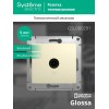 Розетка телевизионная оконечная TV 1-м СП Glossa 1дБ механизм беж. SE GSL000291