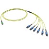 Сборка оптическая разветвительная 12ОВ 9/125 OS2 1xMTP PRO(12)/6хLC-UPC Duplex Uniboot тип полярност