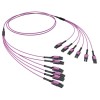 Сборка оптическая разветвительная 12ОВ 50/125 OM4 6хLC Duplex Uniboot/6хLC Duplex Uniboot 10м DKC RN