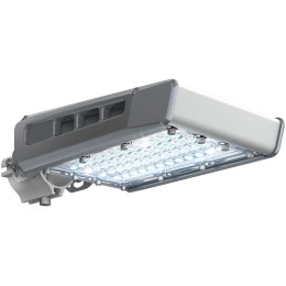 Светильник светодиодный TL-Street RUS 55 750 LC SW IE Технологии света УТ000016253