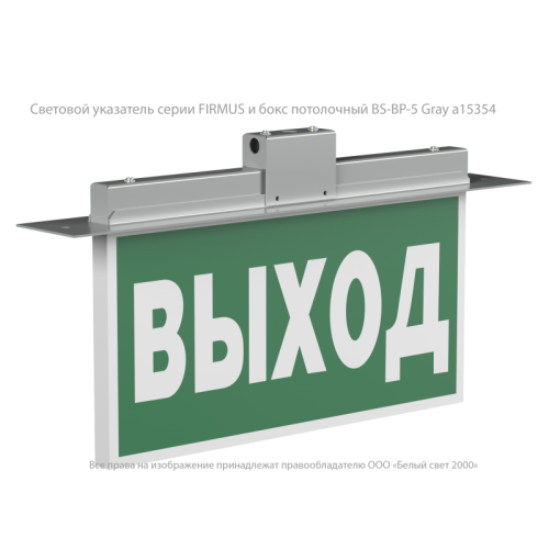 Бокс потолочный BS-BP-5 Gray Белый свет a15354