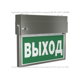 Указатель световой BS-FLAG-73-S1-INEXI2 NST Белый свет a24603