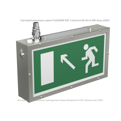 Указатель световой BS-FLAGMAN-53-S1-INEXI3 NST Белый свет a24596