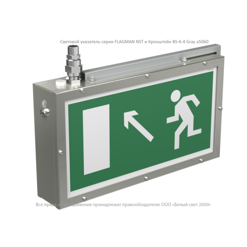 Указатель световой BS-FLAGMAN-53-S1-INEXI3 NST Белый свет a24596