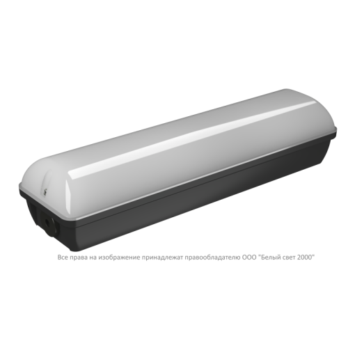 Светильник аварийный BS-METEOR-53-L1-INEXI2 3000К Black Белый свет a32253