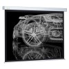 Экран 213х213см Wallscreen CS-PSW-213x213 1:1 настенно-потолочный рулонный бел. CACTUS 359031