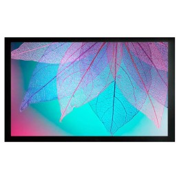 Экран на раме 124х220см FrameExpert CS-PSFRE-220X124 16:9 настенный натяжной CACTUS 1070208
