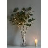 Ветвь эвкалипта имитация 62см 32LED тепл. бел. IP44 6ч таймер кабель корич. 50см (уп.3шт) КОСМОС KOC