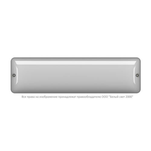 Светильник аварийный BS-METEOR-73-L2-INEXI2 5000К Black Белый свет a32258