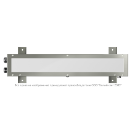 Светильник аварийный BS-NAUTILUS-10-L1-24 NST V01 5000К Белый свет a27761