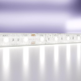 Лента светодиодная 24В 5050 14.4Вт/м 6000К IP65 (уп.5м) Maytoni 10173