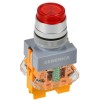 Кнопка D7-11D d22мм 1НО+1НЗ с подсветкой красн. GENERICA BBT50-11D-3-12-K04-G