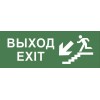Этикетка самоклеящаяся 350х130мм "Выход/лестница вниз/фигура" SSA-101 INFO-SSA-109 ЭРА Б0048478