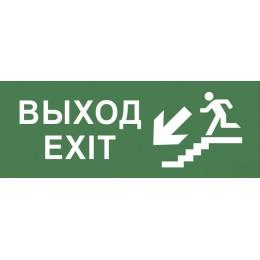 Этикетка самоклеящаяся 350х130мм "Выход/лестница вниз/фигура" SSA-101 INFO-SSA-109 ЭРА Б0048478