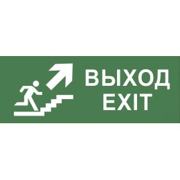 Этикетка самоклеящаяся 350х130мм "Выход/лестница вверх/фигура" SSA-101 INFO-SSA-110 ЭРА Б0048479