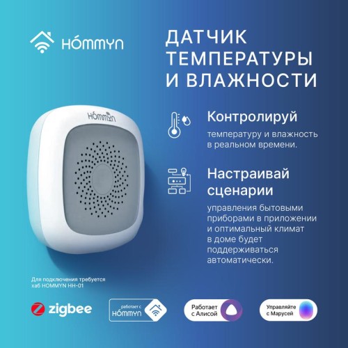 Сенсор температуры и влажности TS-20-Z HOMMYN НС-1115595