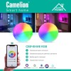 Светильник светодиодный умный Smart Home LBS/SH-48/RGBCW/WIFI 48Вт RGB+DIM+CW 220 WIFi Camelion 1478