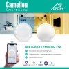 Светильник светодиодный умный Smart Home LBS/SH-48/RGBCW/WIFI 48Вт RGB+DIM+CW 220 WIFi Camelion 1478