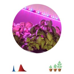 Лента светодиодная FITO-Strip Light-RB-2m 2м для растений красн./син. спектр IP65 Эра Б0057282