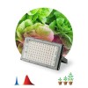 Прожектор светодиодный FITO-80W-RB-LED-Y 80Вт для растений красн./син. спектр IP65 Эра Б0053082