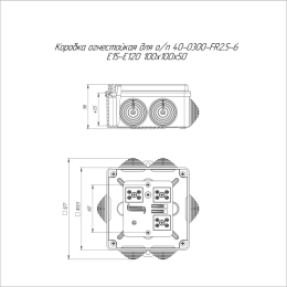 Коробка огнестойкая ОП 40-0300-FR2.5-6 Е15-Е120 100х100х50 Промрукав 40-0300-FR2.5-6