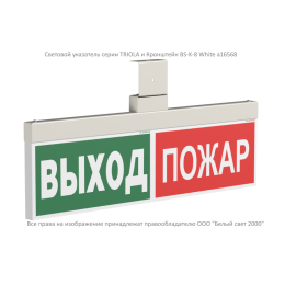 Указатель световой BS-TRIOLA-10-S1-24 Белый свет a16306