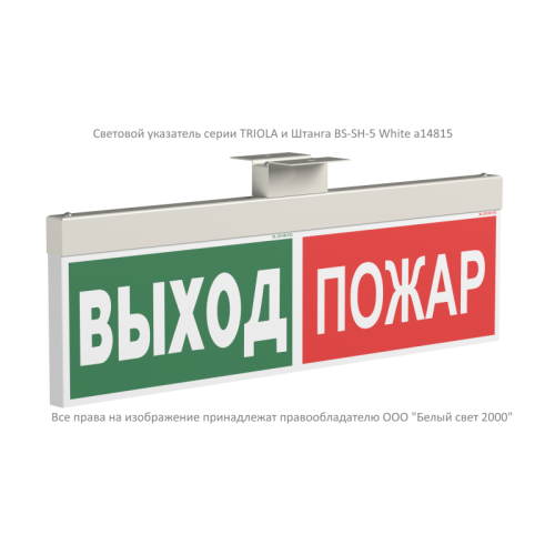 Указатель световой BS-TRIOLA-10-S1-ELON Белый свет a26048