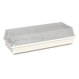 Светильник аварийный BS-UNIVERSAL-10-L1-BSE5 Белый свет a15662