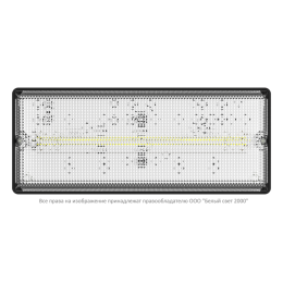 Светильник аварийный BS-UNIVERSAL-10-L2-24 5000К Black Белый свет a32298