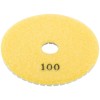 Круг алмазный шлифовальный гибкий (АГШК) 100х3мм Р100 Special Cutop 76-595