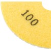 Круг алмазный шлифовальный гибкий (АГШК) 100х3мм Р100 Special Cutop 76-595